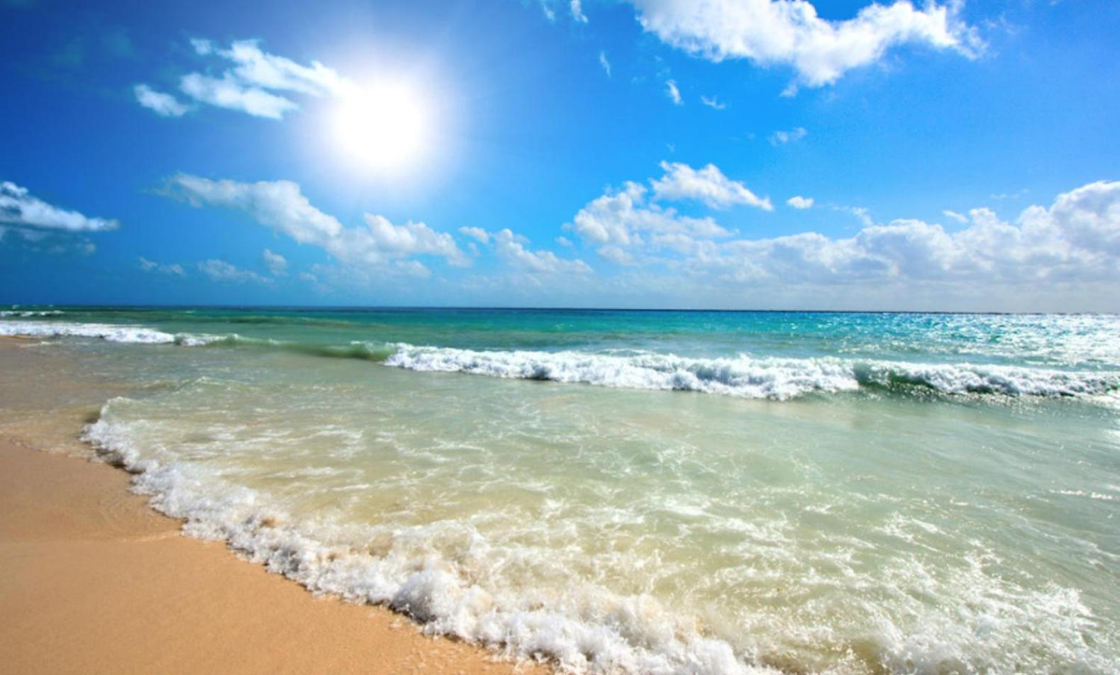 Sunny Beach Plaza 17 Apartment 外观 照片